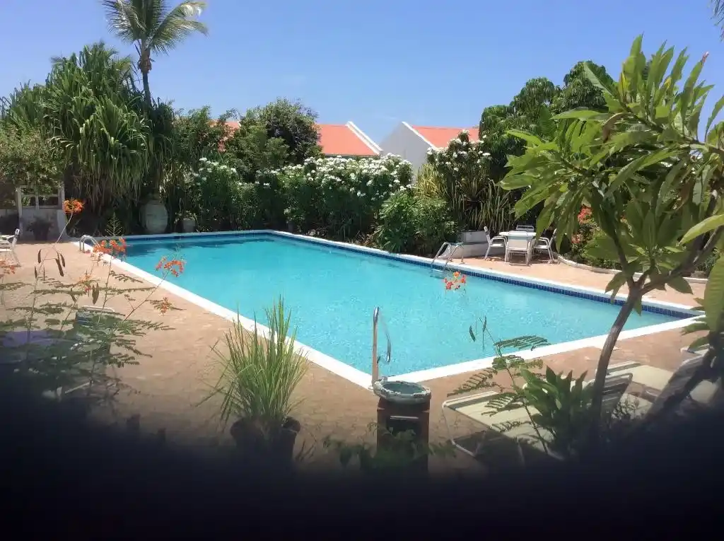 For Rent Studio Apartment St. Maarten Cupecoy 15 1 15 11zon 15 11zon