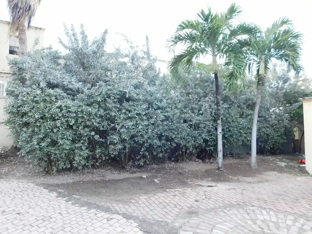 For Sale 4 Bedroom House Sint Maarten Point Blanche 16 37 11zon 37 11zon