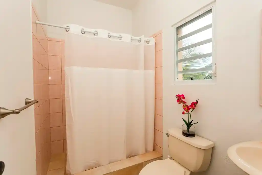 For Sale 4 Bedroom Ocean View Villa Sint Maarten Guana Bay 48 47 11zon 47 11zon