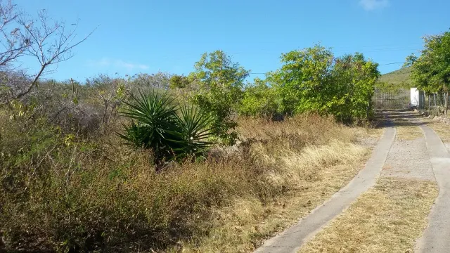 For Sale 4047m2 Of Ocean View Land St. Eustatius Union Estate 4 4 11zon