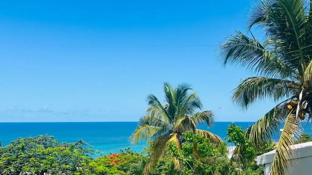 For Sale 5 Bedroom 3 Bath Ocean View Villa Sint Maarten Pelican Key 24 24 11zon 24 11zon