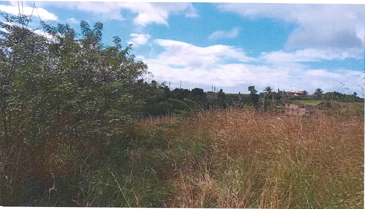 For Sale Ocean View Lot Dominica Warner 2 2 11zon