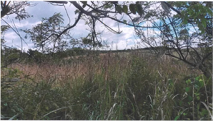 For Sale Ocean View Lot Dominica Warner 3 3 11zon