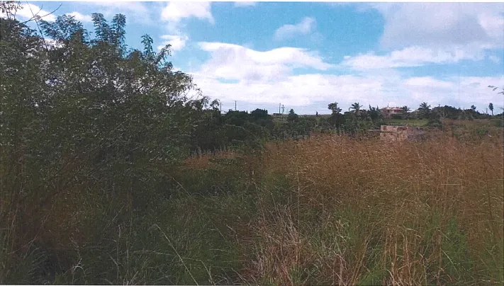 For Sale Ocean View Lot Dominica Warner 4 4 11zon