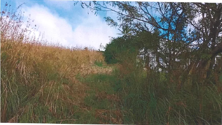 For Sale Ocean View Lot Dominica Warner 5 5 11zon