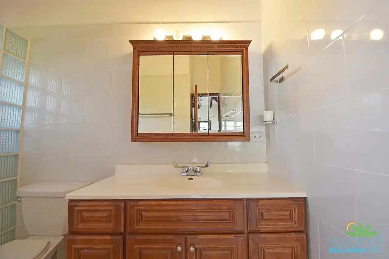 For Sale Retreat Estate Villa Sint Maarten St. Peters 13 13 11zon 13 11zon