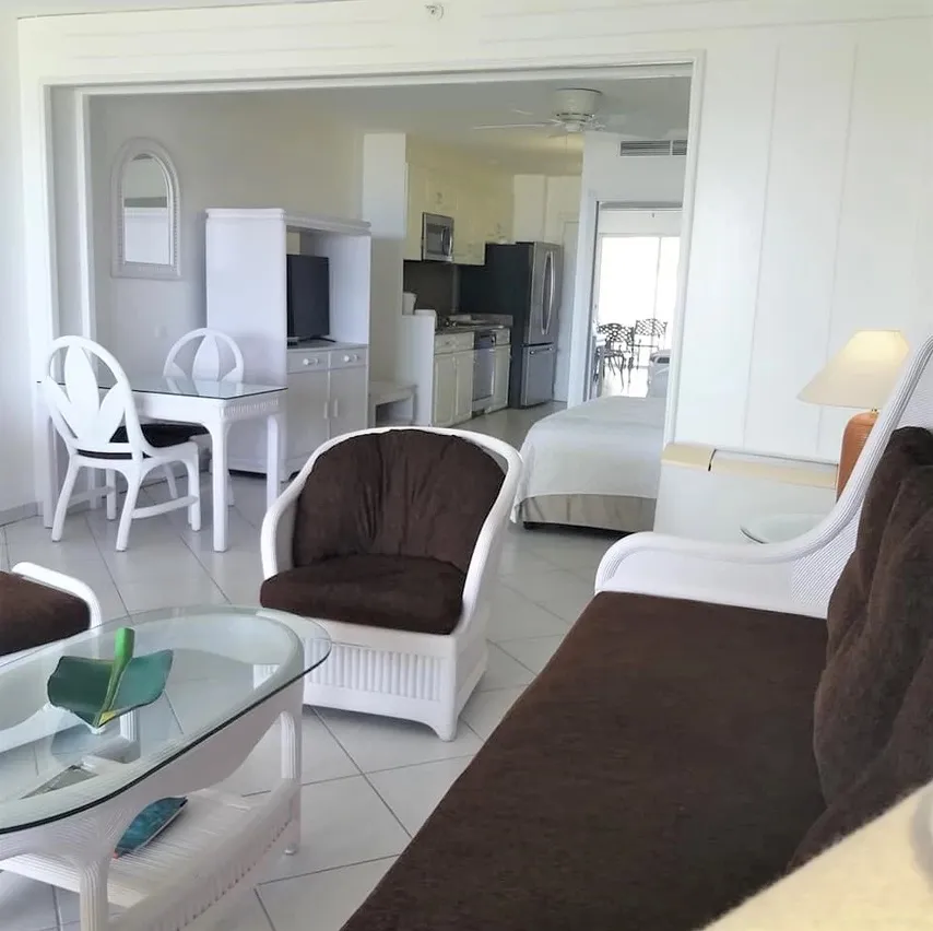 Living Area 1 5 11zon