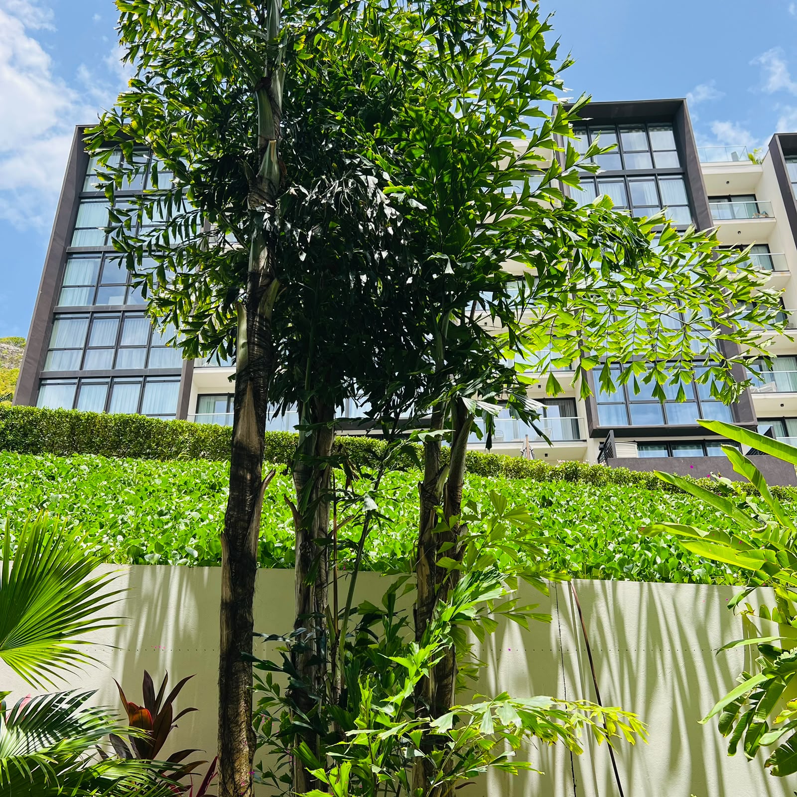 fo sale 1 bedroom furnished condo, st. maarten, simpson bay 16